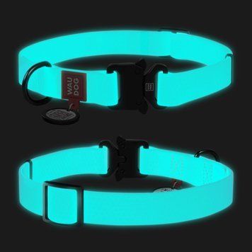 Нашийник для собак водостійкий WAUDOG Waterproof c QR паспортом, світонакоплювальний, металічна пряжка-фастекс, Ш 25 мм, Дов 38-58 см 2787 фото