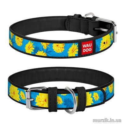 Ошейник для собак Collar WAU DOG Design Exclusive с рисунком "Цветы на голубом", 37-48 см/25 мм, натуральная кожа, черный 41498942 фото