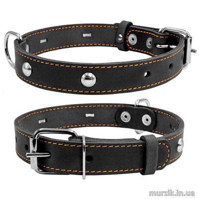 Ошейник для собак Collar, одинарный, с украшением, размер M (38-50 см/25 мм), натуральная кожа, черный 32586453 фото