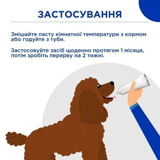 Паста Др. КІС Гепатік (Paste Dr.KIS Hepatic) для нормалізації роботи печінки собак та котів 50 г, MODES ЗС000260 фото
