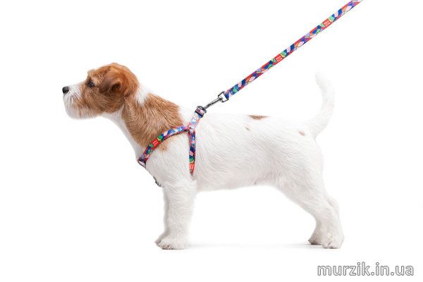 Шлея для собак Collar WAUDOG Nylon с рисунком "Шотландка красная", нейлон, 40-55 см 42075278 фото