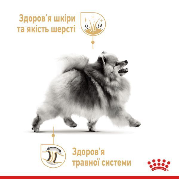 Сухий корм Royal Canin (Роял Канін) для собак породи Pomeranian (Померанський Шпіц) 0,5 кг. 1255005 фото