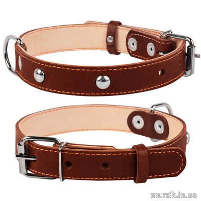 Ошейник для собак Collar, двойной, с украшением, размер M (38-50 см/25 мм), натуральная кожа, коричневый 32586465 фото
