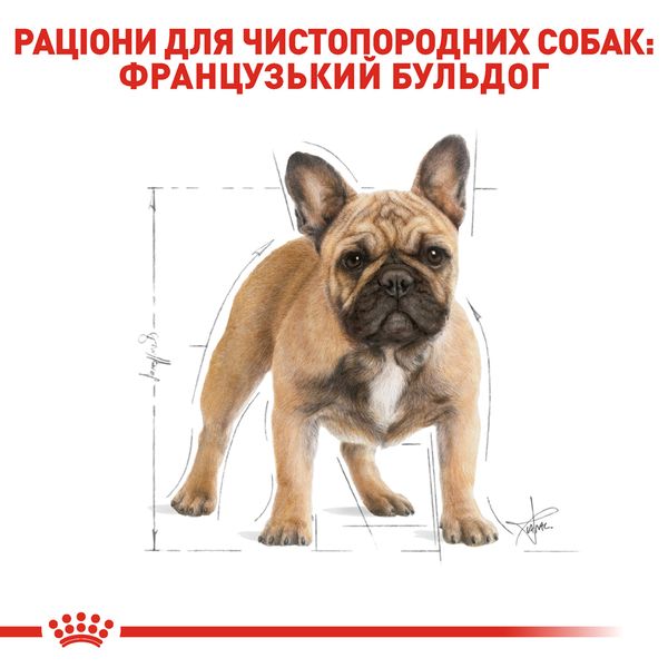 Сухий корм Royal Canin (Роял Канін) для собак породи French Bulldog (Французький бульдог) 3 кг. 3991030 фото