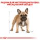 Сухий корм Royal Canin (Роял Канін) для собак породи French Bulldog (Французький бульдог) 3 кг. 3991030 фото 3