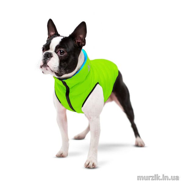 Курточка для собак Collar AiryVest, двусторонняя, L55, cалатово-голубая 41494794 фото