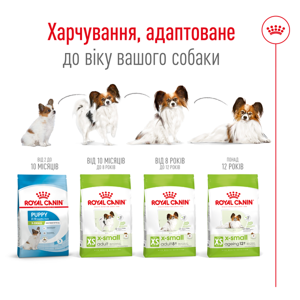 Сухой корм для собак миниатюрных пород Royal Canin (Роял Канин) Mini XSMALL Adult 1,5 кг. 1003015 фото
