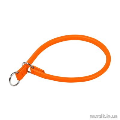 Ошейник-удавка рывковый, для собак, CoLLaR Glamour, кожа, 25 см / 6 мм, оранжевый 32617535 фото