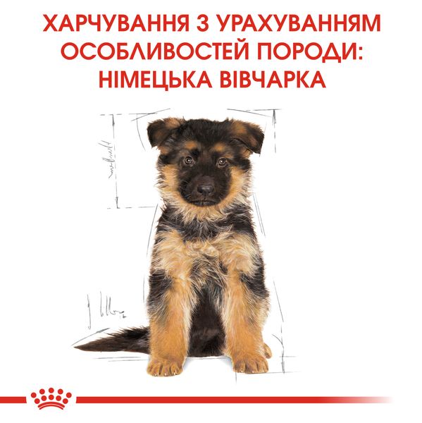 Сухий корм для цуценят Німецької вівчарки Royal Canin (Роял Канін) German Shepherd Puppy 12 кг. 25191201 фото