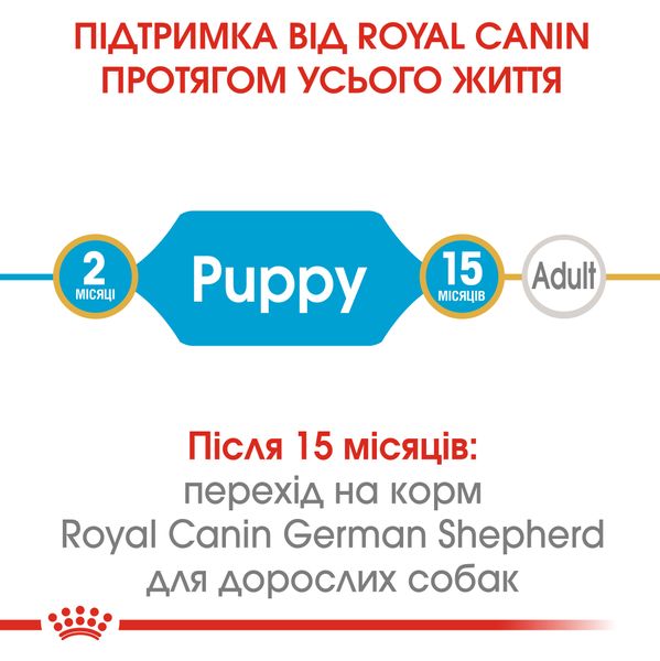 Сухой корм для щенков Немецкой овчарки Royal Canin (Роял Канин) German Shepherd Puppy 12 кг. 25191201 фото