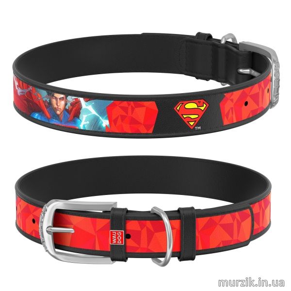 Ошейник для собак Collar WAU DOG Design DC Comics с рисунком "Супермен1", 30-39 см/20 мм, натуральная кожа, черный 41498621 фото