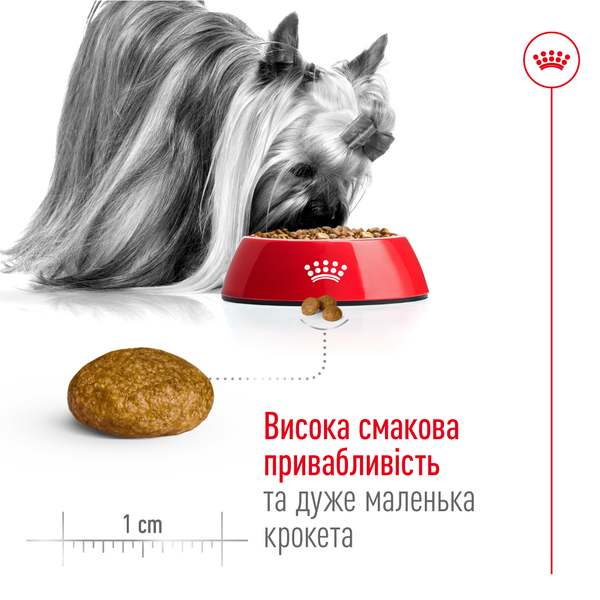 Сухой корм для собак миниатюрных пород Royal Canin (Роял Канин) Mini XSMALL Adult 500 г 1003005 фото