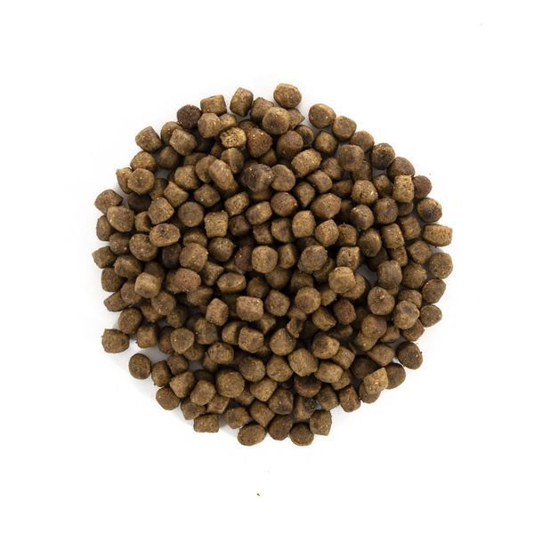 Сухий корм Brit Care Cat GF Kitten HGrowth & Development для кошенят, здорове зростання та розвиток, 400 г 171279 фото