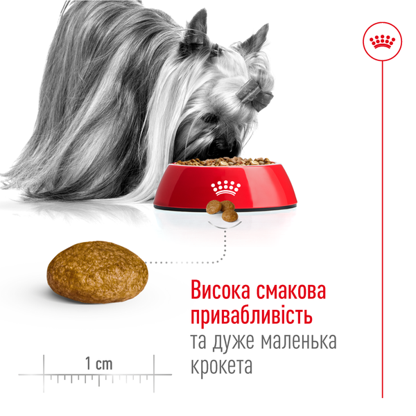 Сухий корм для собак мініатюрних порід, віком від 8 років, Royal Canin (Роял Канін) Mini XSMALL Adult 8+, 3 кг. 1004030 фото