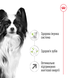 Сухий корм для собак мініатюрних порід, віком від 8 років, Royal Canin (Роял Канін) Mini XSMALL Adult 8+, 3 кг. 1004030 фото 4