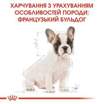 Сухий корм ROYAL CANIN для цуценят породи Французький Бульдог (French Bulldog Puppy) 1 кг 39900101 фото