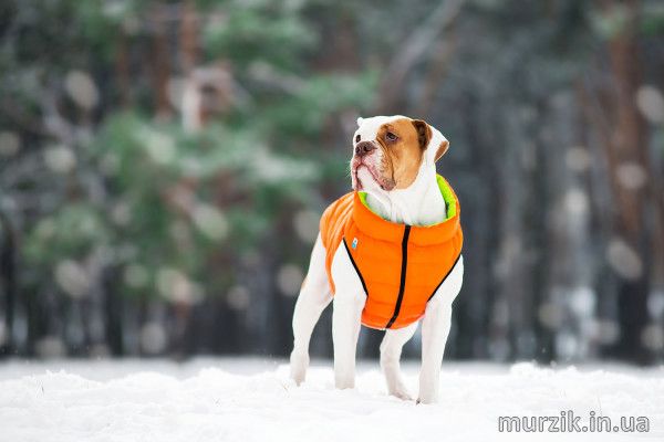 Курточка для собак Collar AiryVest, двусторонняя, S35, оранжево-cалатовая 41494734 фото