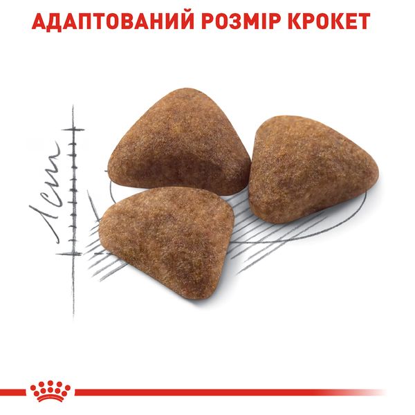 Сухий корм Royal Canin (Роял Канін) для котів до 7 років, що живуть у приміщенні Indoor 4 кг. RC 25290409 фото