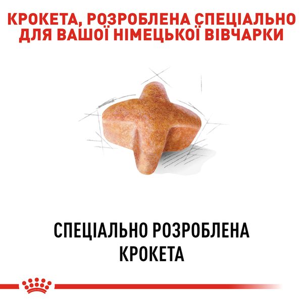 Сухой корм Royal Canin (Роял Канин) для собак породы German Shepherd (Немецкая овчарка) 11 кг. 2518110 фото