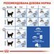 Сухий корм Royal Canin (Роял Канін) для котів до 7 років, що живуть у приміщенні Indoor 4 кг. RC 25290409 фото 8