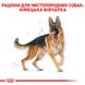 Сухой корм Royal Canin (Роял Канин) для собак породы German Shepherd (Немецкая овчарка) 11 кг. 2518110 фото 2