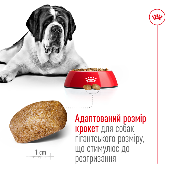 Сухий корм для собак гігантських порід Royal Canin (Роял Канін) Giant Adult 15 кг. 1437639 фото