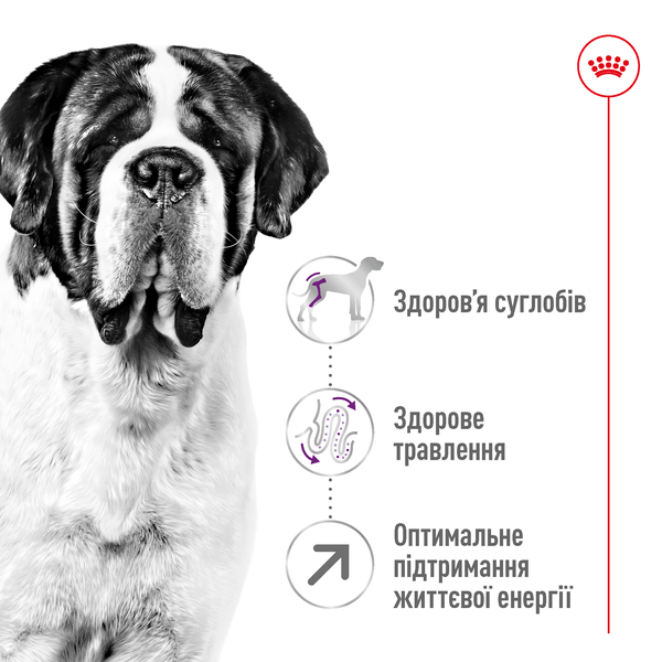 Сухий корм для собак гігантських порід Royal Canin (Роял Канін) Giant Adult 15 кг. 1437639 фото