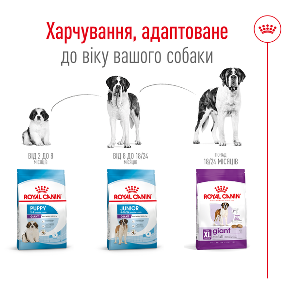 Сухой корм для собак гигантских пород Royal Canin (Роял Канин) Giant Adult 15 кг. 1437639 фото