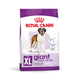 Сухой корм для собак гигантских пород Royal Canin (Роял Канин) Giant Adult 15 кг. 1437639 фото 1