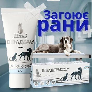 Вівадерм лікувальна мазь, знеболююча, протигрибкова, протизапальна 25 г, MODES ЗС000338 фото