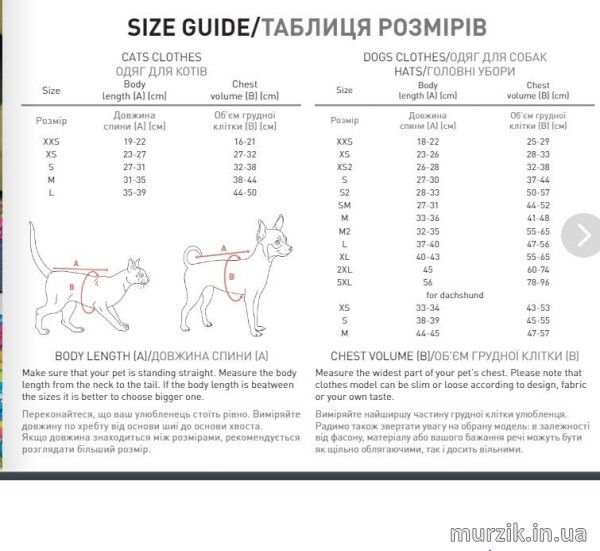 Комбинезон &#171;Amaze&#187; XS-2 42390178 фото