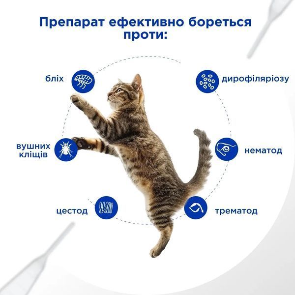 Селавет (Selavet) противопаразитные капли для собак от 2,6 до 5,0 кг, 0,5 мл, MODES ЗС000391 фото