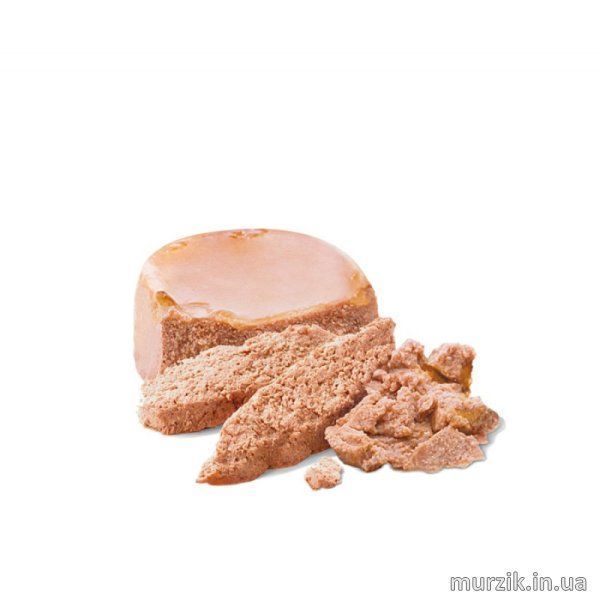Влажный корм для кормящих собак и щенков с первых дней жизни Royal Canin (Роял Канин) Starter Mousse dog консерва 195 г./12 шт 4077002x12 фото