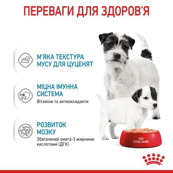 Влажный корм для кормящих собак и щенков с первых дней жизни Royal Canin (Роял Канин) Starter Mousse dog консерва 195 г./12 шт 4077002x12 фото
