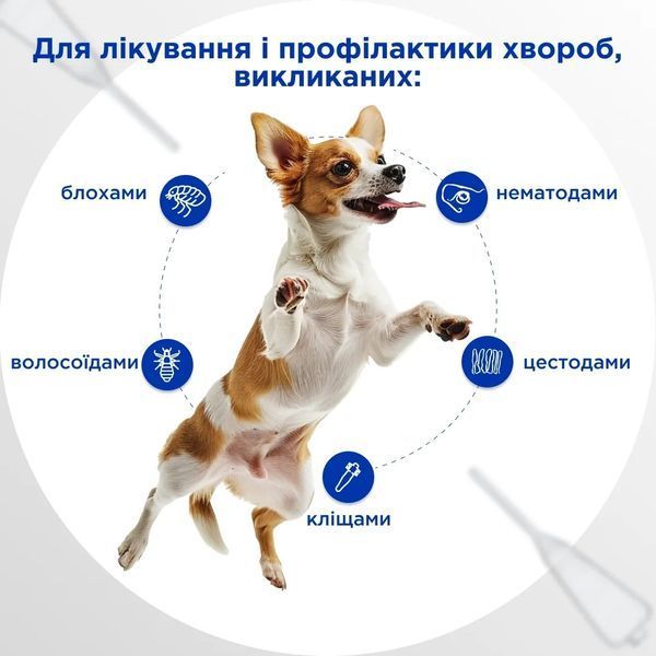Селавет (Selavet) противопаразитные капли для собак от 2,6 до 5,0 кг, 0,5 мл, MODES ЗС000391 фото