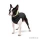 Курточка для собак Collar AiryVest, двусторонняя, L65, салатово-черная 41494804 фото 3