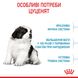 Сухой корм для щенков гигантских пород до 8 мес. Royal Canin (Роял Канин) Giant Puppy 15 кг. 3030150 фото 3