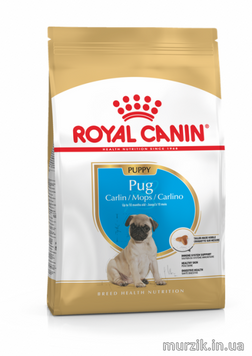 Сухий корм для цуценят мопса Royal Canin (Роял Канін) Pug Puppy (Мопс паппі) 1,5 кг. 41300151 фото
