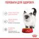 Влажный корм Royal Canin (Роял Канин) Kitten для котят от 4 до 12 месяцев пауч (в желе) 85 г/12 шт. RC 4150001 (x12) фото 7