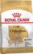 Сухой корм Royal Canin (Роял Канин) для собак породы Chihuahua (Чихуахуа) 1,5 кг 2210015 фото 1