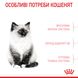 Сухой корм Royal Canin (Роял Канин) для котят до 12 месяцев Kitten 10 кг. RC 2522100 фото 4