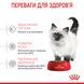 Сухой корм Royal Canin (Роял Канин) для котят до 12 месяцев Kitten 10 кг. RC 2522100 фото 5