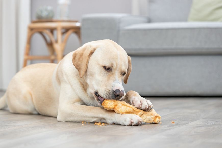 Лакомство Trixie Chewing cheese для собак, XS: 13.5 см, 30 г 31260 фото