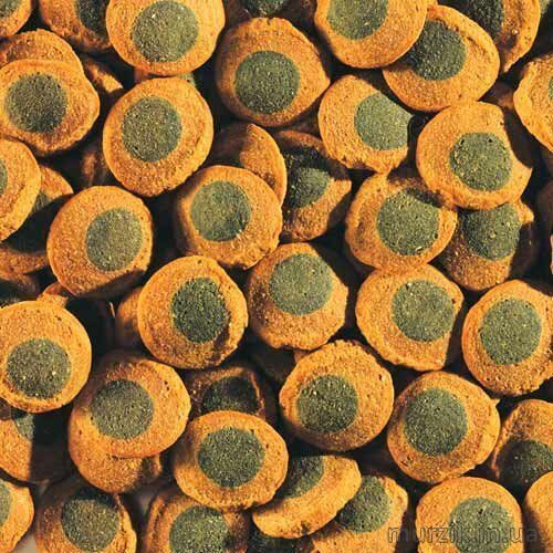 Корм Pleco Spirulina Wafers для травоядных донных рыб 250 мл 1471642 фото