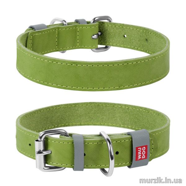 Ошейник для собак Collar WAUDOG Classic, натуральная кожа, 30-39 см / 20 мм, салатовый 41456655 фото