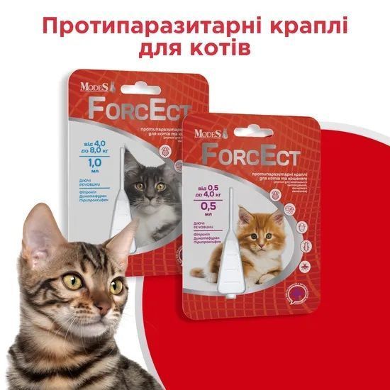 ФорсЭкт (ForcEct) противопаразитарные капли для кошек и котят 4,0-8,0 кг, 1,0 мл, MODES ЗС000385 фото