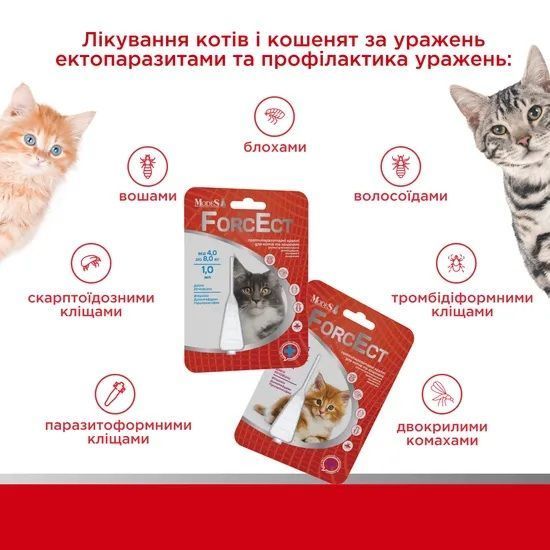 ФорсЭкт (ForcEct) противопаразитарные капли для кошек и котят 4,0-8,0 кг, 1,0 мл, MODES ЗС000385 фото