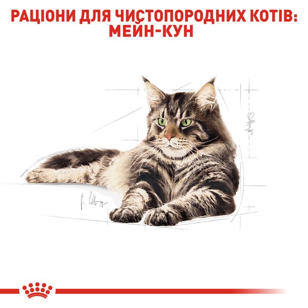 Cухий корм для котів та кішок Royal Canin (Роял Канін) Mainecoon 2 кг. RC 2550020 фото