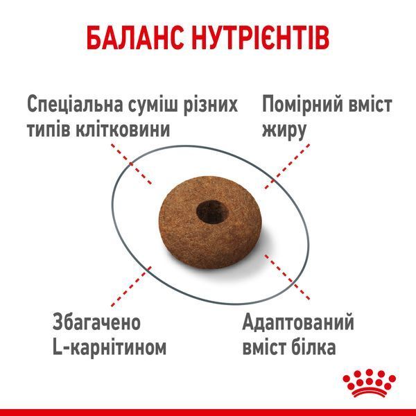 Royal Canin (Роял Канин) Appetite Control Care сухой корм для контроля выпрашивания корма 3,5 кг. RC 2563035 фото