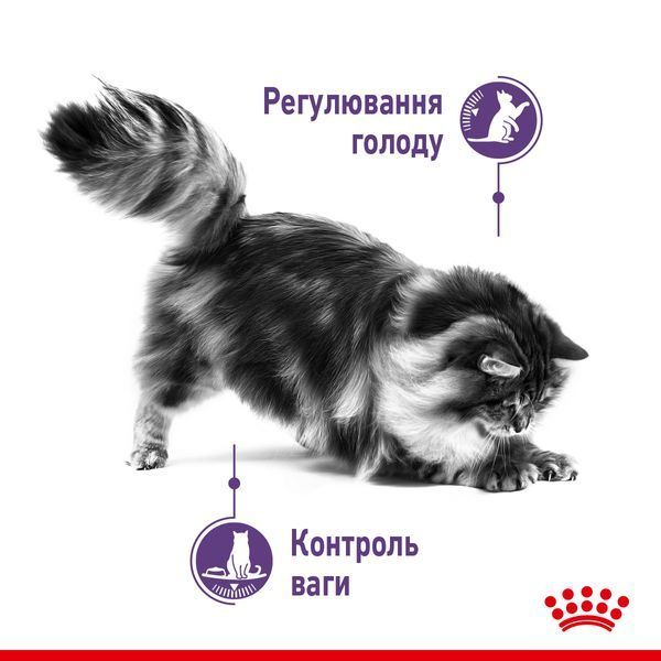 Royal Canin (Роял Канин) Appetite Control Care сухой корм для контроля выпрашивания корма 3,5 кг. RC 2563035 фото